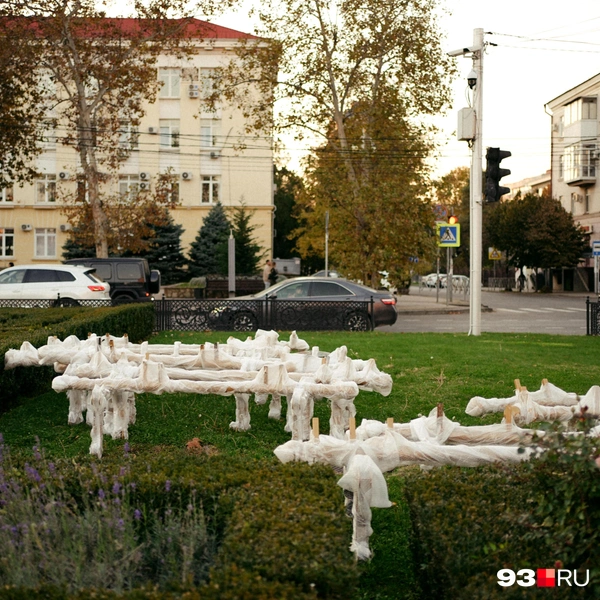 Источник: Дарья Паращенко / 93.RU