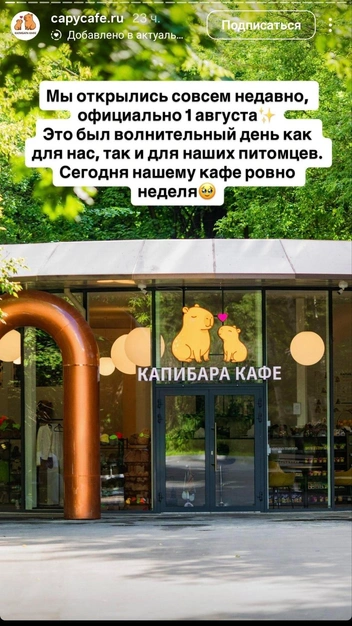 «Капибара Кафе» опровергли слухи о жестоком обращении с животными | Источник: capycafe / Instagram (экстремистская организация, деятельность запрещена на территории РФ)