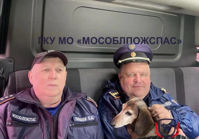 На помощь приехало руководство «Мособлпожспаса» | Источник: ГКУ МО «Мособлпожспас» / T.me