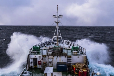 Рыбколхоз «Восток-1» взял займ на 700 млн рублей