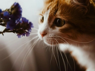 Тест Рокича: Что для вас важнее всего в жизни? | Источник: Unsplash