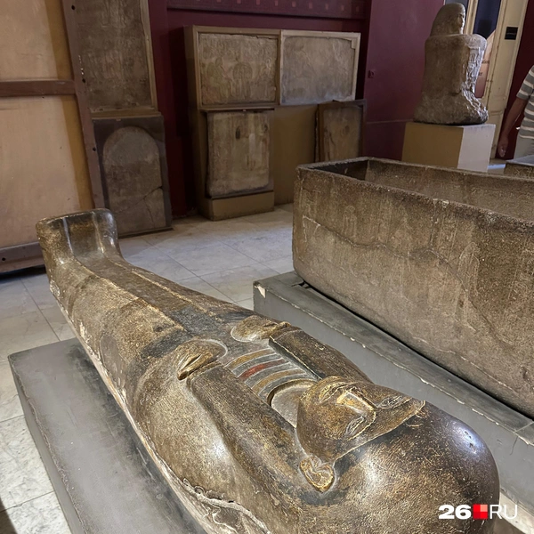 Источник: Габриелла Захарова / 26.RU