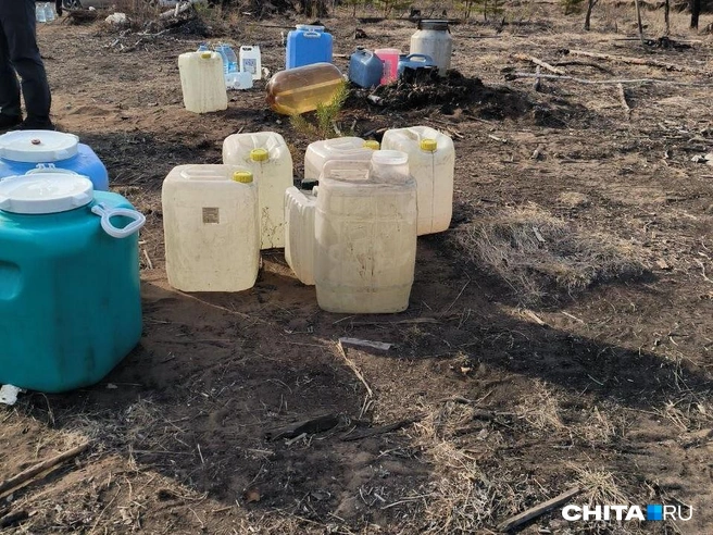 С собой нужно взять ведра и лейки для воды | Источник: Руслан Симушин / CHTA.RU