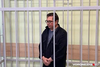 Экс-ректор ВГУ Ендовицкий приговорен к 8 годам