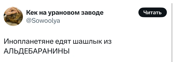 Источник: X (Twitter)