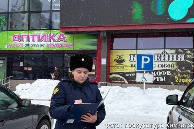 В Елизове директора фирмы будут судить за упавшую наледь