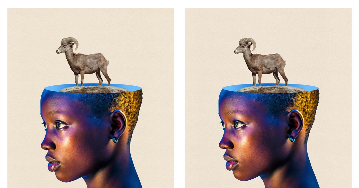 скрытое изображение любви. пример лексической неоднозначности. неоднозначные картинки. не однозначный или неоднозначный. неоднозначные изображения.