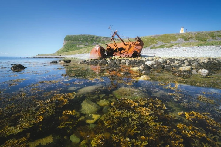 Источник: Egor Bugrimov/Shutterstock/Fotodom.ru