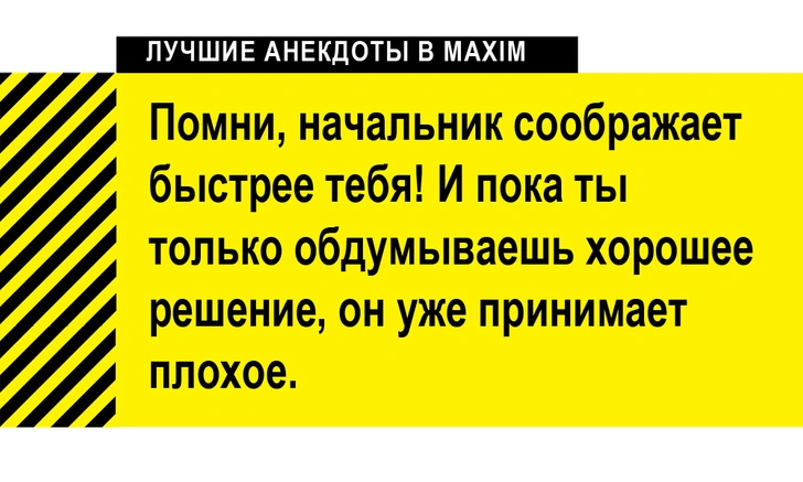 Лучшие анекдоты про начальников и боссов | maximonline.ru