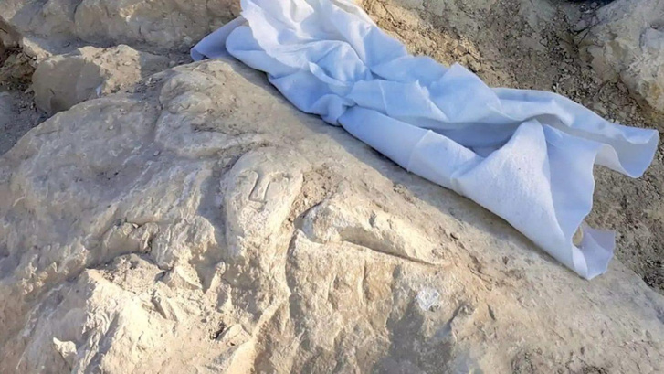 Лицо выдающейся важности: в Испании нашли высеченное на камне изображение возрастом 2000 лет