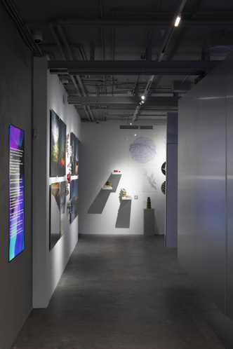 Галерея фиджитал-искусства VS Gallery как инновационное арт-пространство