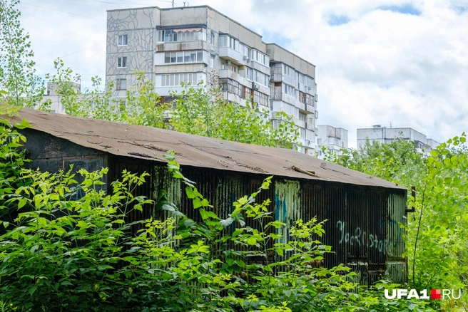 Еще один заросший гараж | Источник: Булат Салихов / UFA1.RU