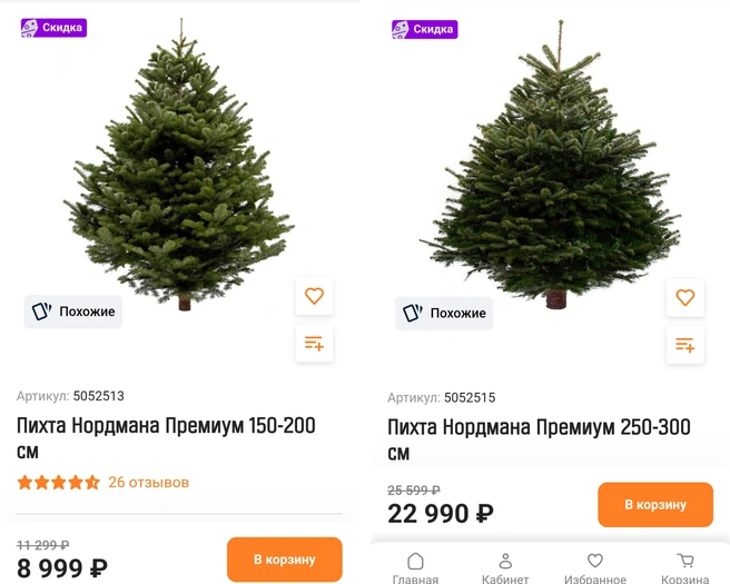 Источник: Серафима Путиева / MSK1.RU