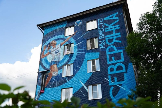 Источник: st.cherinfo.ru