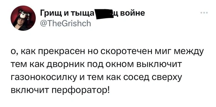 Шутки среды и рыбий тренер по плаванию