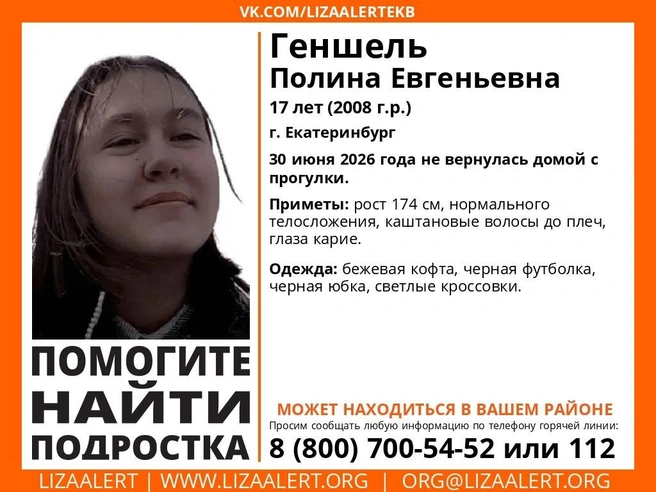 Источник: волонтерский отряд «ЛизаАлерт»