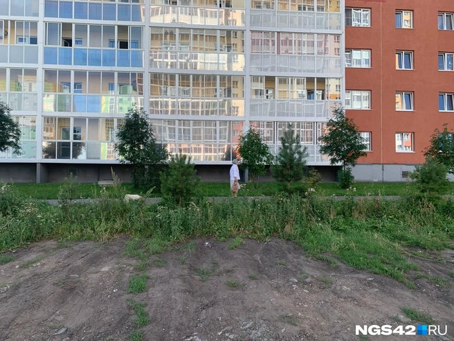 Источник: Татьяна Ирискина / NGS42.RU