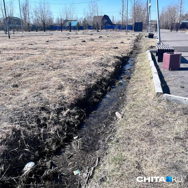 Источник: Александр Хамраев / CHITA.RU