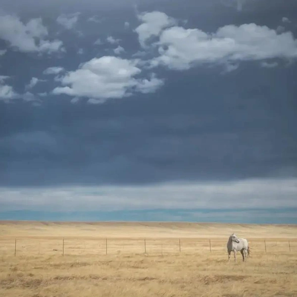 США, штат Колорадо | Источник: Steven Sorensen / Minimalist Photography Awards 2025