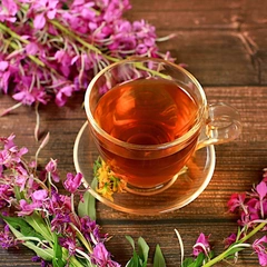 Любимый напиток превращается в яд: через сколько часов после заваривания чай лучше вылить