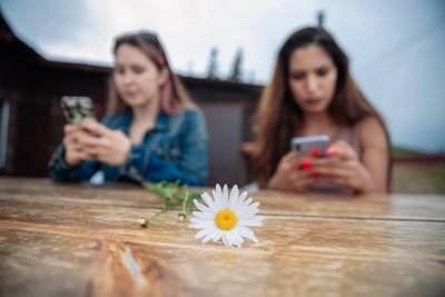 Play "Chamomile": A Simple Brain-Boosting Puzzle