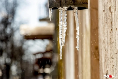 Погода в Ярославле и Центральной России: антициклон принесет тепло