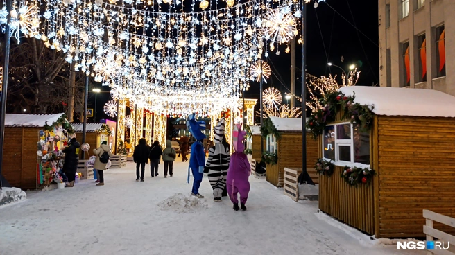 Прохожие попадают в цепкие руки предпринимателей самого разного толка | Источник: Стас Соколов / NGS.RU