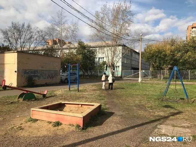 Норм или стрем? | Источник: Дмитрий Мамаев / NGS24.RU