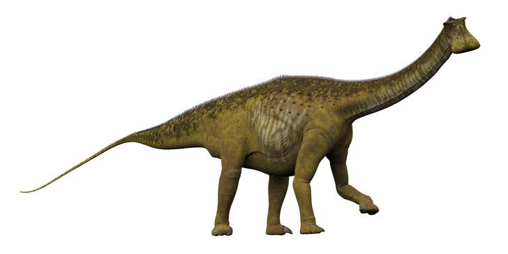 Пылесос мелового периода: как палеонтологи открыли и описали динозавра, у которого было больше 500 зубов