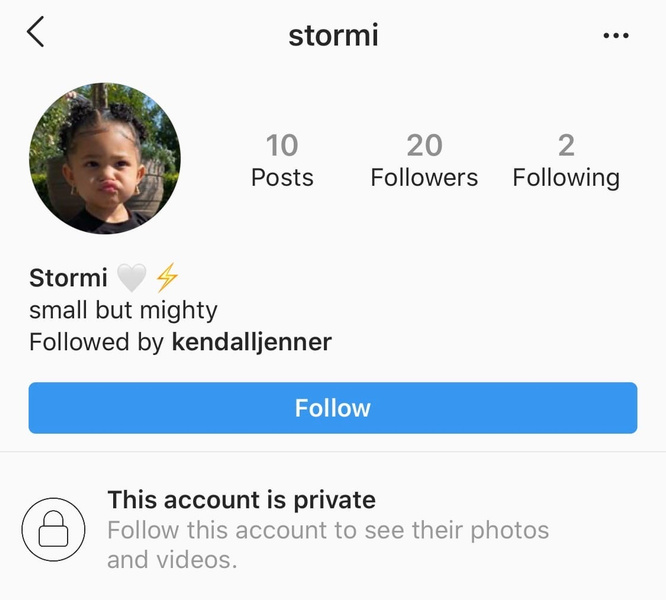 У Сторми Вебстер появился собственный аккаунт в Инстаграме (запрещенная в России экстремистская организация)