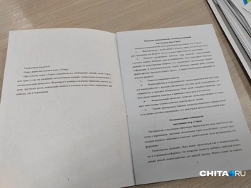 Источник: Дарья Кливенкова / CHITA.RU