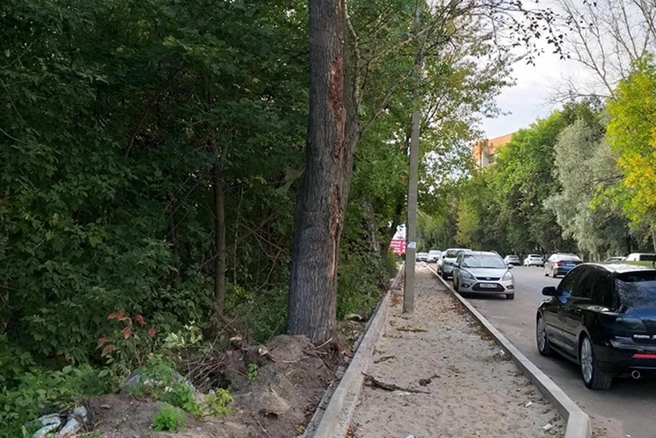 Повреждённые деревья оставили рядом с тротуаром | Источник: Василий Бобков / Facebook.com
