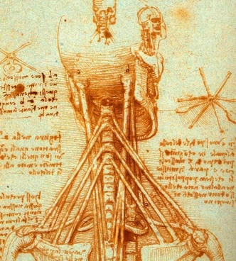 Источник: Public domain