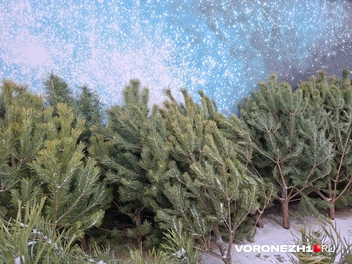 Этот базар находится у ТЦ&nbsp;«Космос» | Источник: читательница Voronezh1.ru