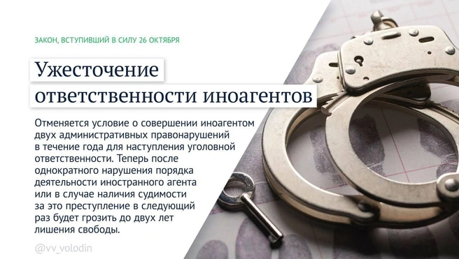 Какие законы вступают в силу в России в ноябре | Источник: Вячеслав Володин / Telegram