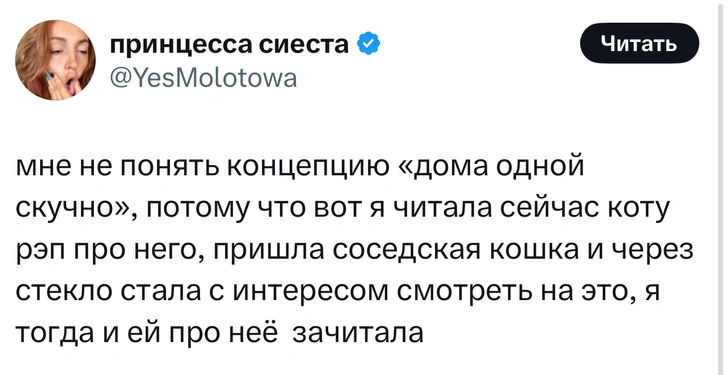 Источник: X (Twitter)