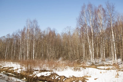 Подростка из Подмосковья нашли в реанимации