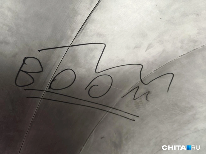 Источник: Любовь Никитина / CHITA.RU