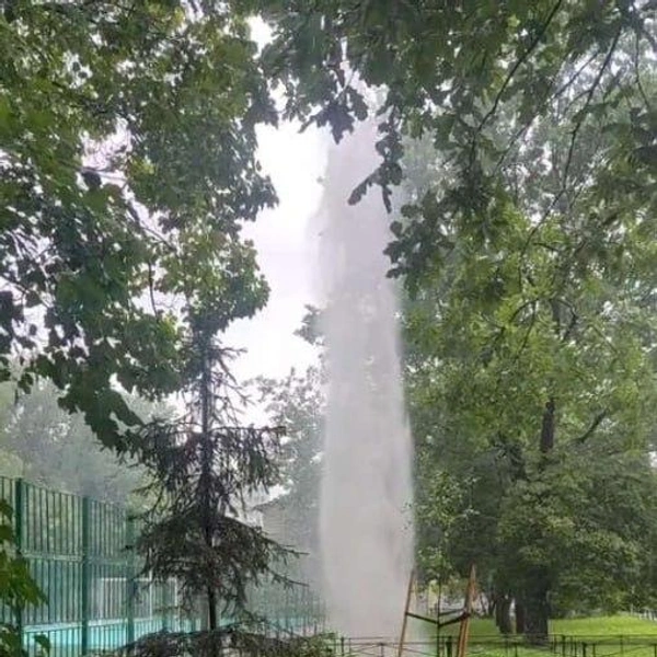 Источник: Коллективная жалоба, 2024 год