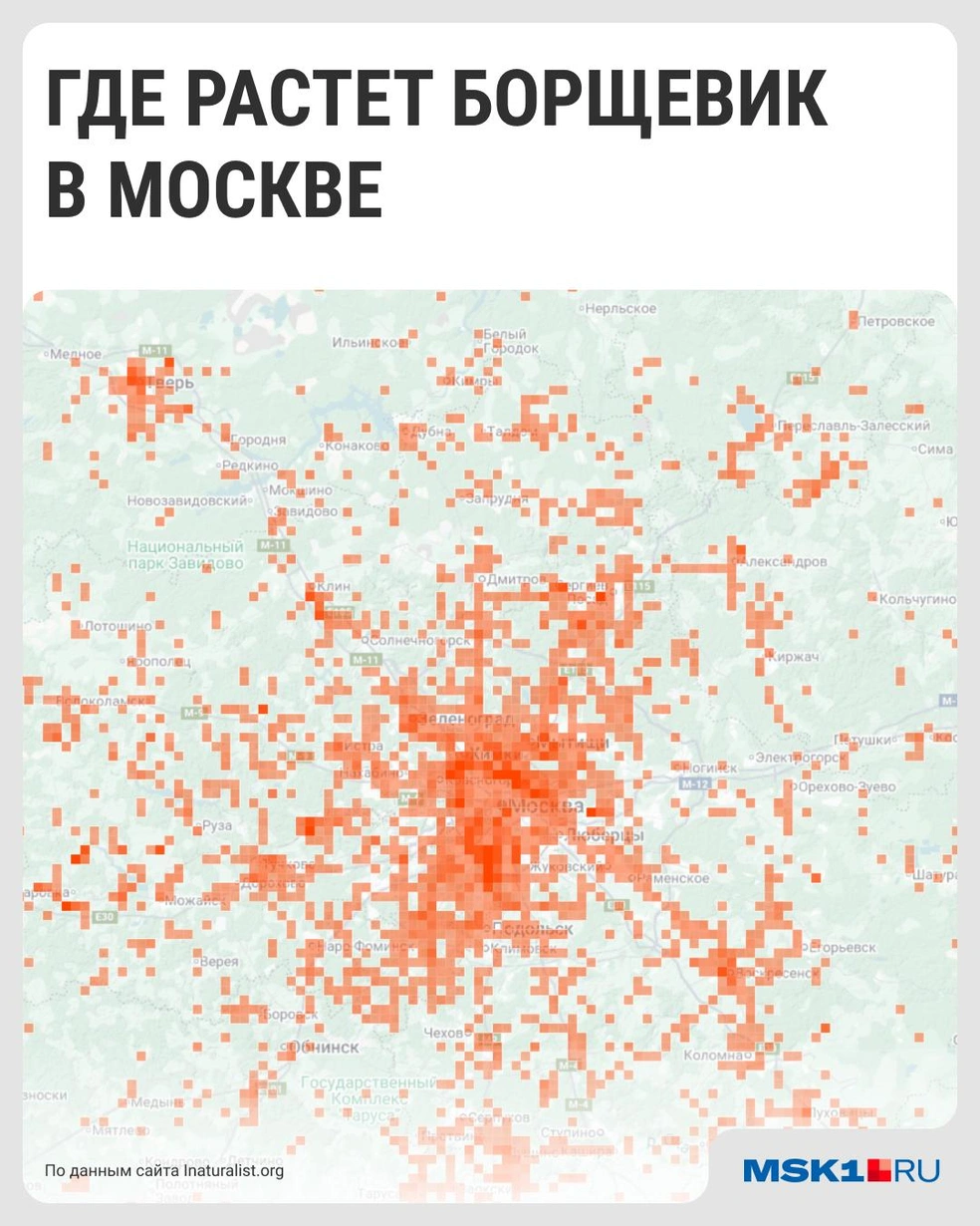 Источник: Серафима Пантыкина / MSK1.RU