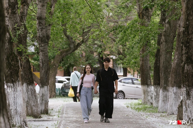 Кажется, будто кто-то рассыпал по парку тысячи кусочков ваты | Источник: Ирина Шарова / 72.RU