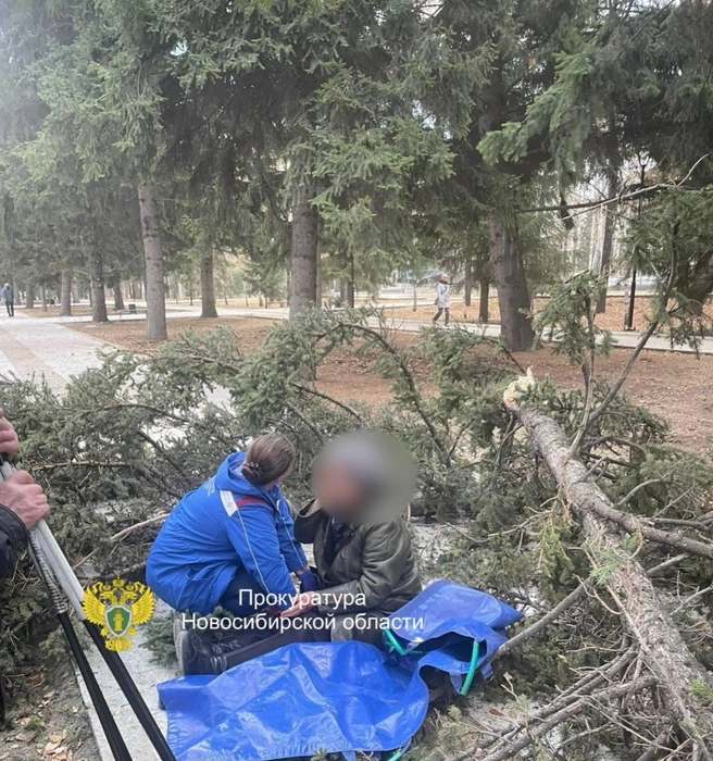 Инцидент произошёл в Ленинском районе | Источник: Фото: Прокуратура Новосибирской области