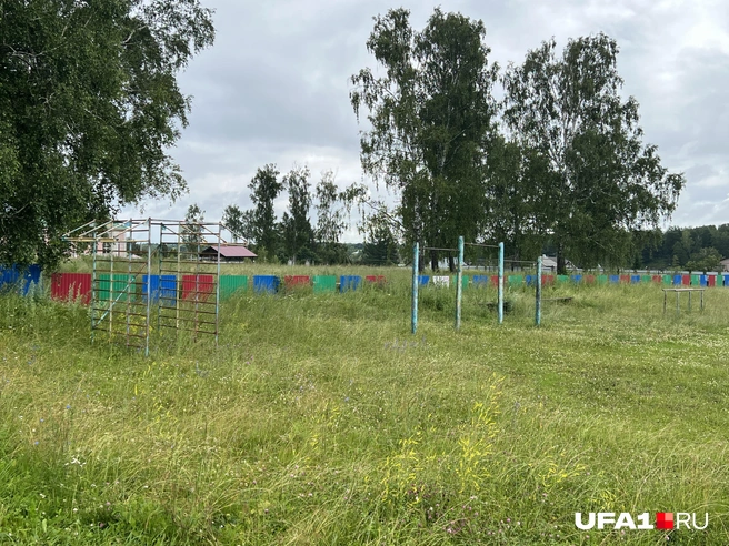 Подтягивания с комарами | Источник: Андрей Бирюков / UFA1.RU