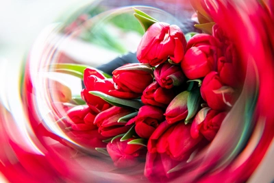 Погода в Кузбассе на 8 Марта: синоптики обещают потепление