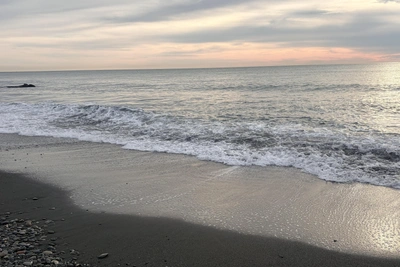 В Сочи сегодня пройдут пять учебных стрельб