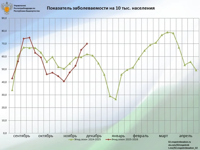 Источник: Роспотребнадзор Республика Башкортостан / T.me