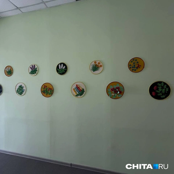 Источник: Анастасия Журавлева / CHITA.RU