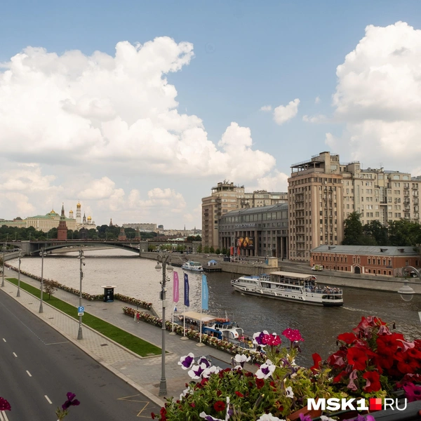 Источник: Дарья Шутова / MSK1.RU