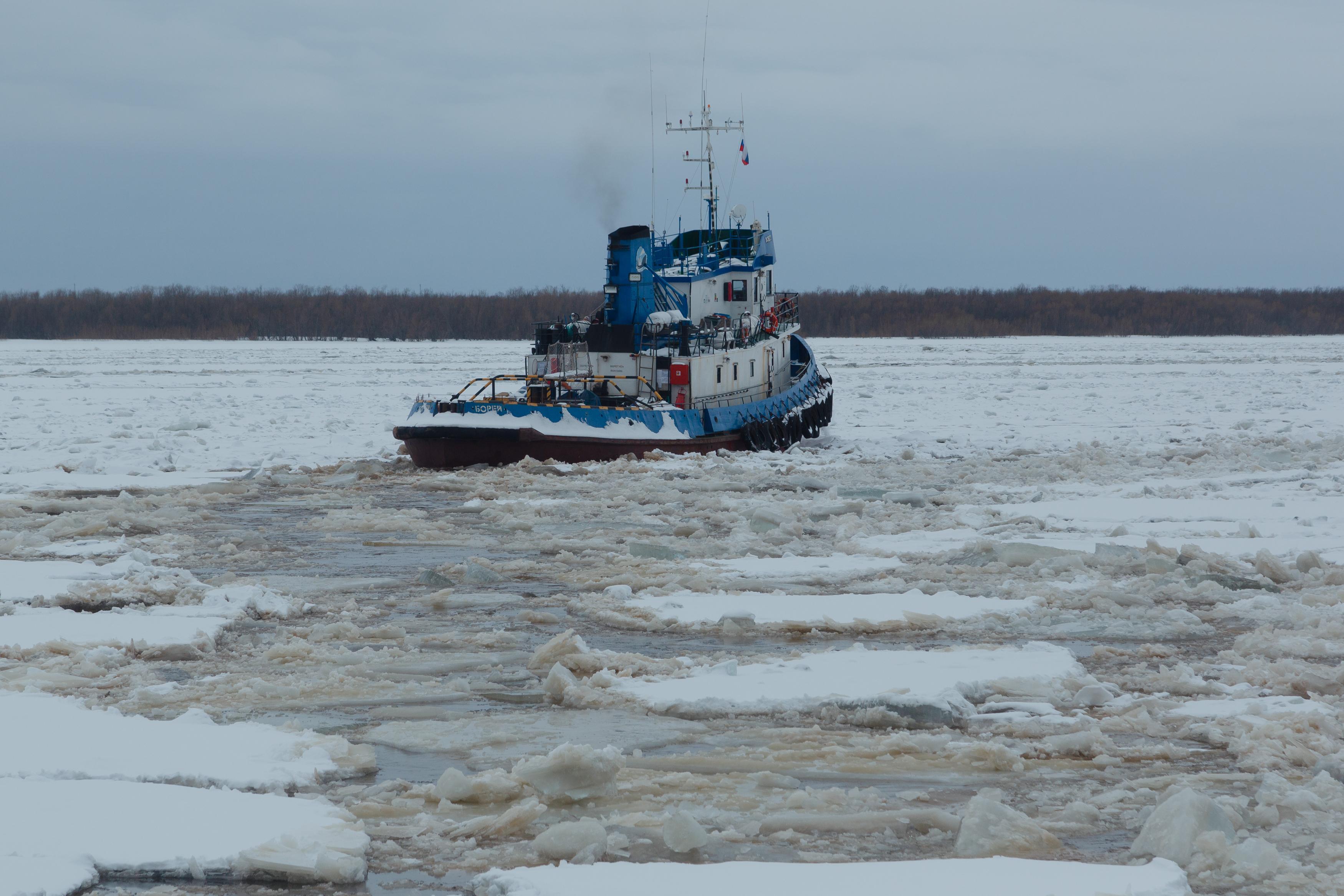 Архангелогородцы с острова Бревенник лишились буксира: что говорят об этом чиновники