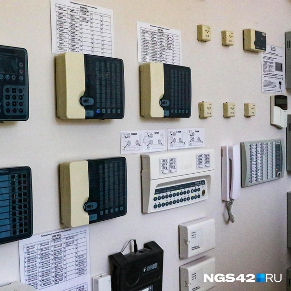 Источник: Лера Городецкая / NGS42.RU